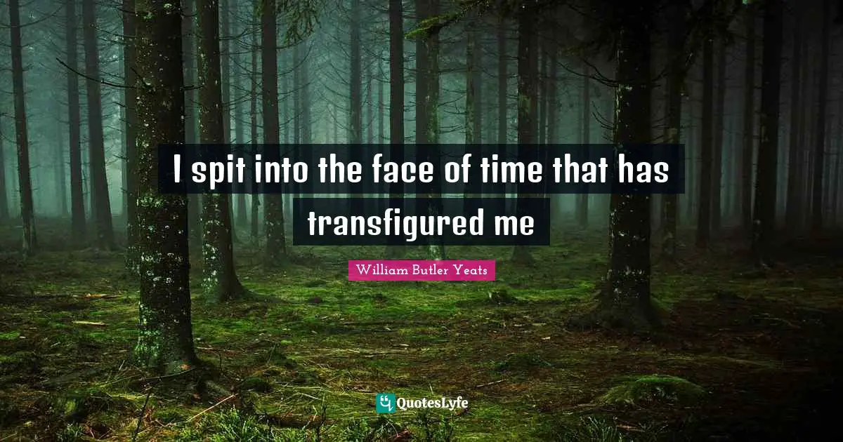 I spit into the face of time that has transfigured me