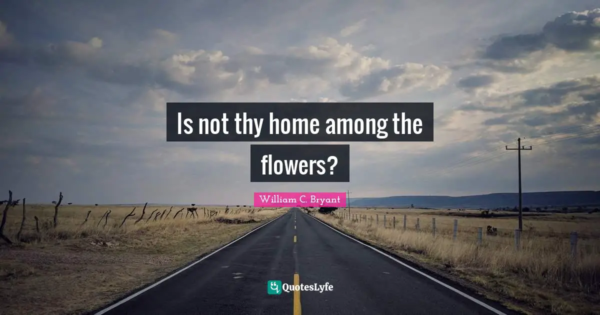 Is not thy home among the flowers?