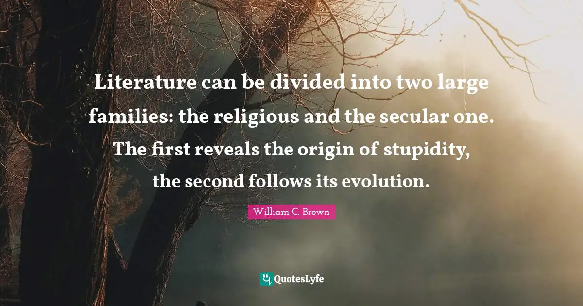 Literature can be divided into two large families: the religious and the secular one. The first reveals the origin of stupidity, the second follows its evolution.