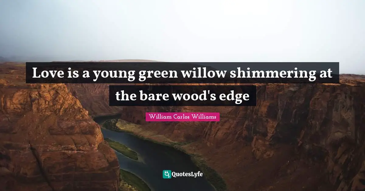 William Carlos Williams Quotes: "Love is a young green willow shimmering at the bare wood's edge"