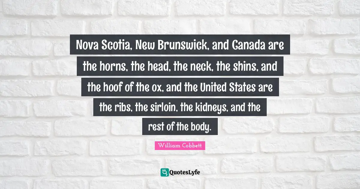 Nova Scotia, New Brunswick, and Canada are the horns, the head, the neck, the shins, and the hoof of the ox, and the United States are the ribs, the sirloin, the kidneys, and the rest of the body.