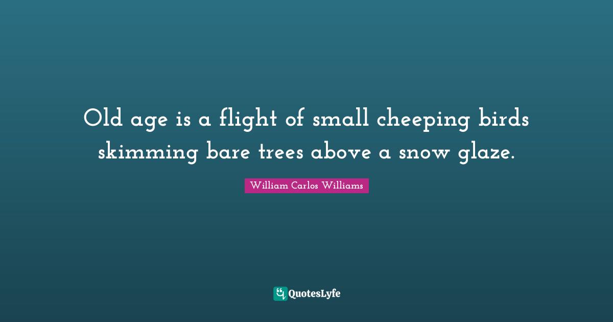 William Carlos Williams Quotes: "Old age is a flight of small cheeping birds skimming bare trees above a snow glaze."