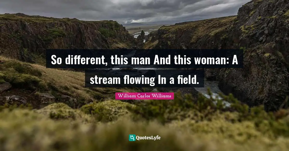 William Carlos Williams Quotes: "So different, this man And this woman: A stream flowing In a field."