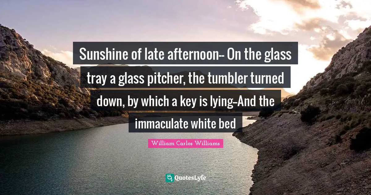 Sunshine of late afternoon-- On the glass tray a glass pitcher, the tumbler turned down, by which a key is lying--And the immaculate white bed