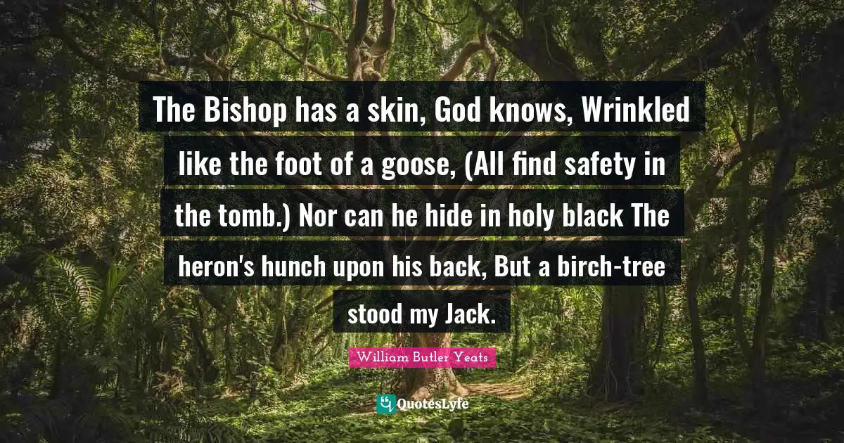 The Bishop has a skin, God knows, Wrinkled like the foot of a goose, (All find safety in the tomb.) Nor can he hide in holy black The heron's hunch upon his back, But a birch-tree stood my Jack.