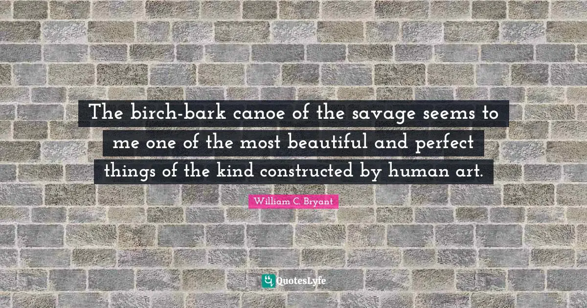 The birch-bark canoe of the savage seems to me one of the most beautiful and perfect things of the kind constructed by human art.