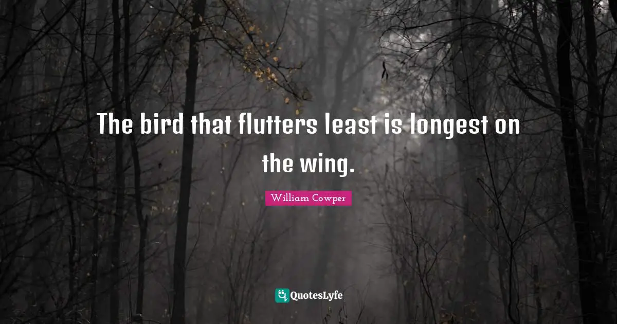 The bird that flutters least is longest on the wing.