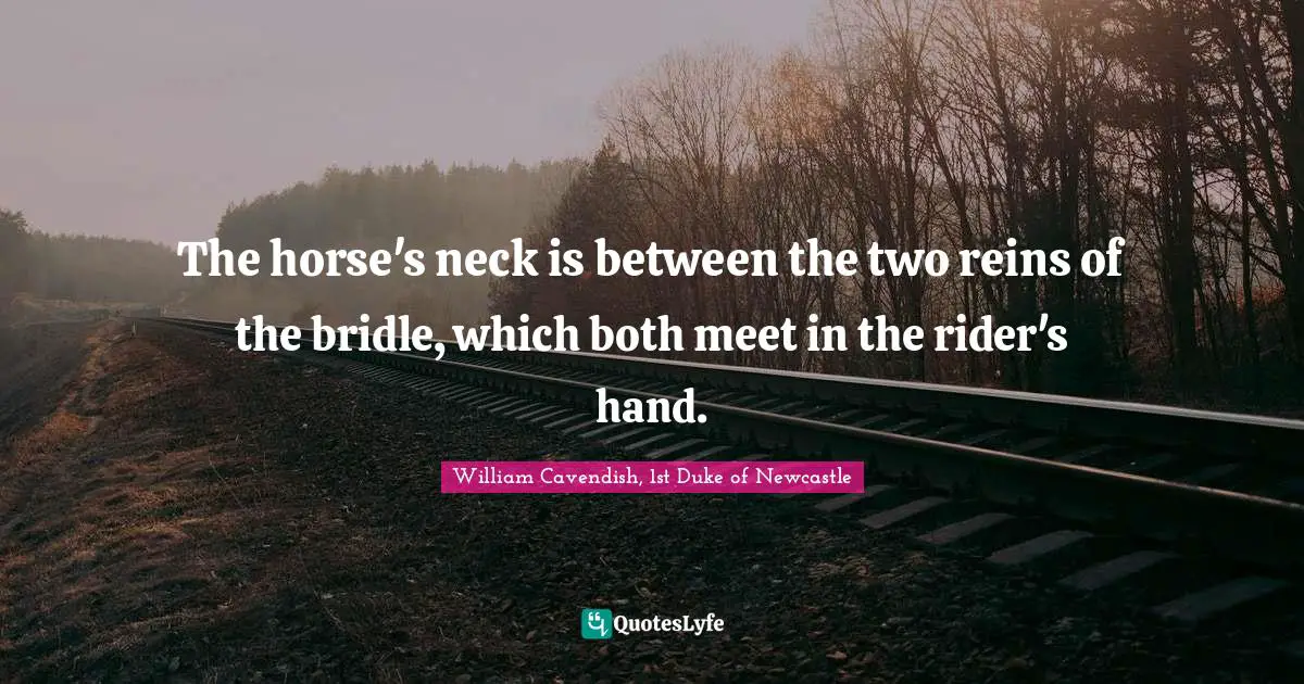 Reins Quotes: "The horse's neck is between the two reins of the bridle, which both meet in the rider's hand."