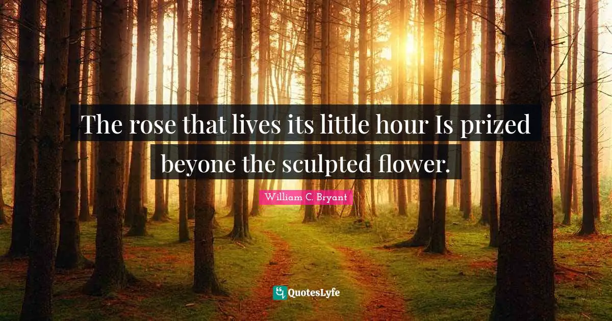 The rose that lives its little hour Is prized beyone the sculpted flower.