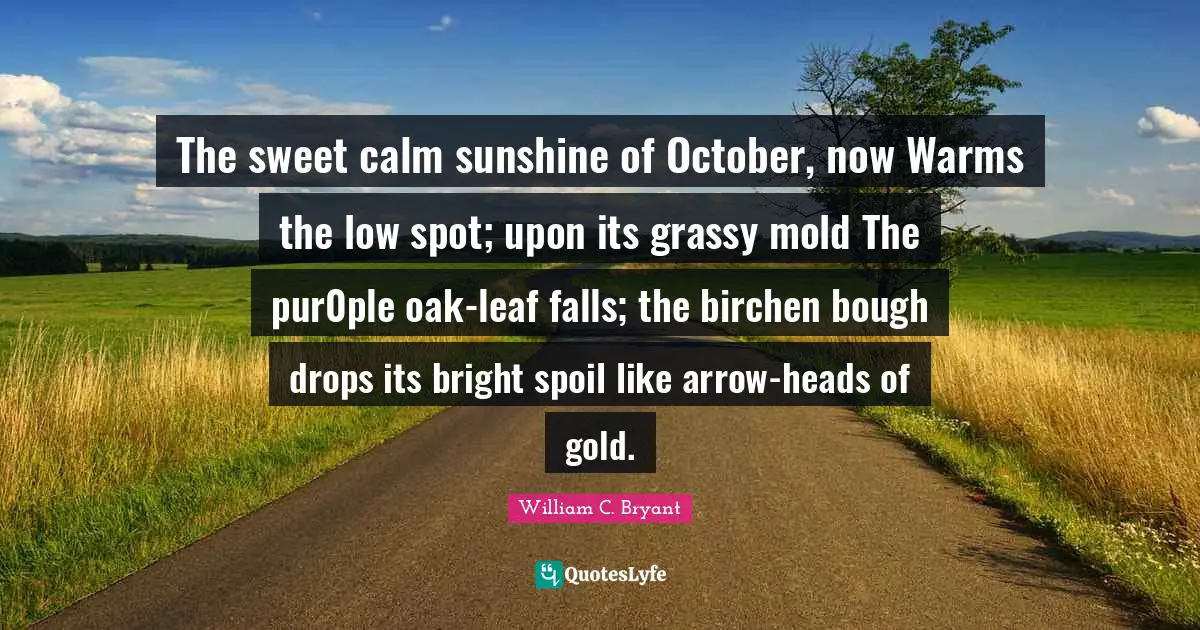 The sweet calm sunshine of October, now Warms the low spot; upon its grassy mold The pur0ple oak-leaf falls; the birchen bough drops its bright spoil like arrow-heads of gold.