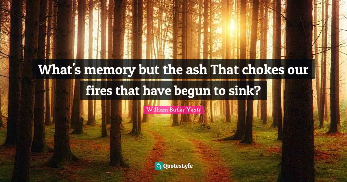 What's memory but the ash That chokes our fires that have begun to sink?
