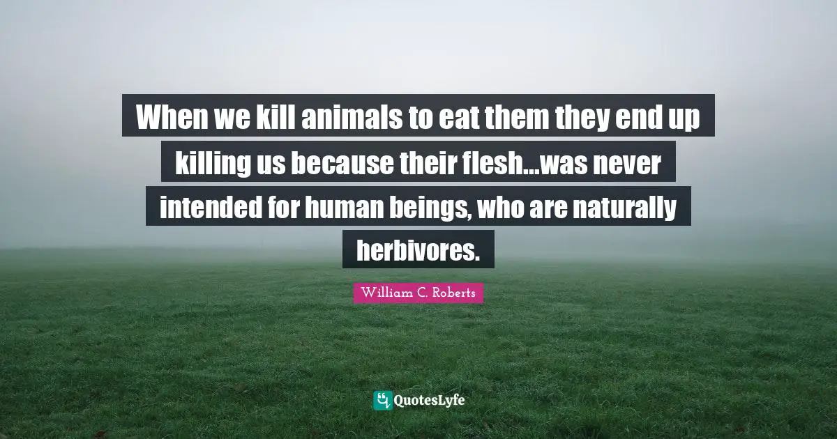 When we kill animals to eat them they end up killing us because their flesh...was never intended for human beings, who are naturally herbivores.