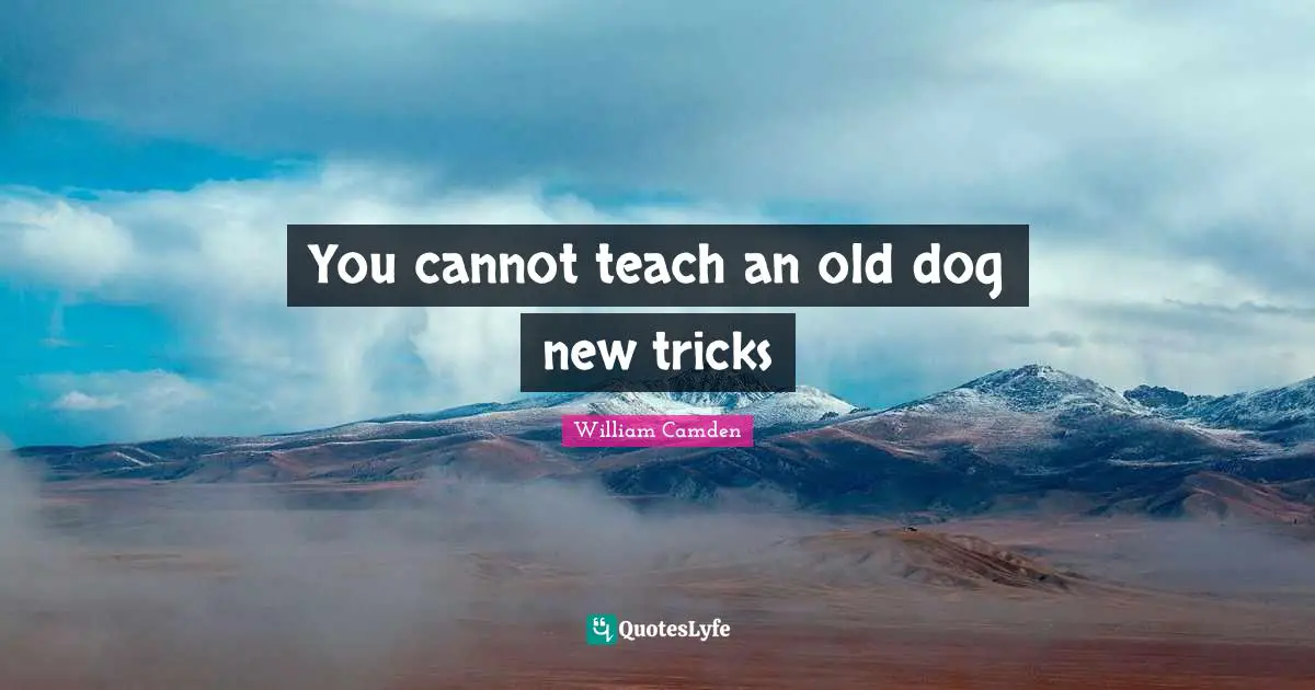 You cannot teach an old dog new tricks