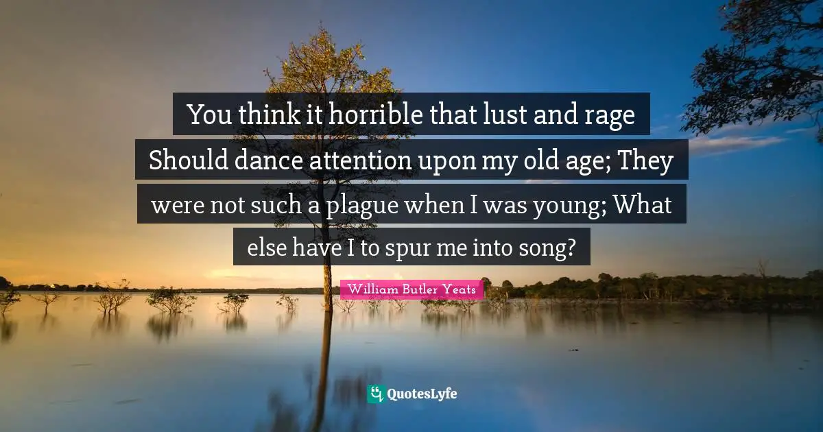 You think it horrible that lust and rage Should dance attention upon my old age; They were not such a plague when I was young; What else have I to spur me into song?