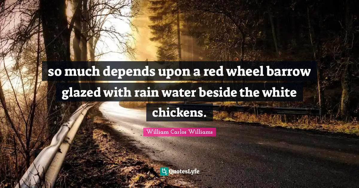 William Carlos Williams Quotes: "so much depends upon a red wheel barrow glazed with rain water beside the white chickens."