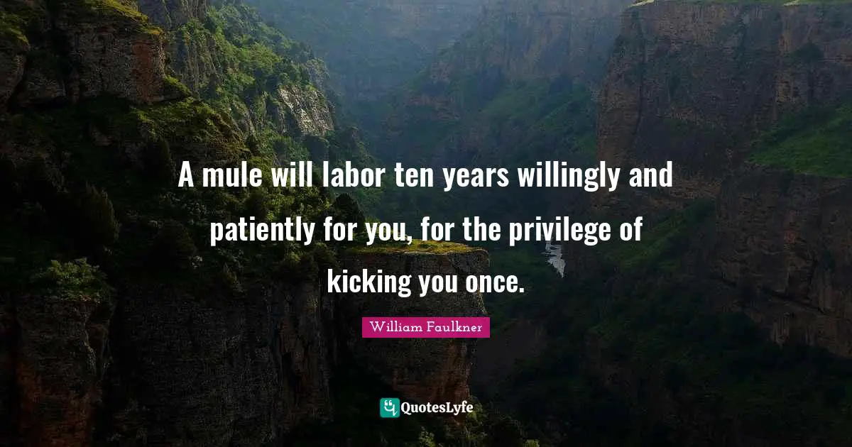 Ten Quotes: "A mule will labor ten years willingly and patiently for you, for the privilege of kicking you once."