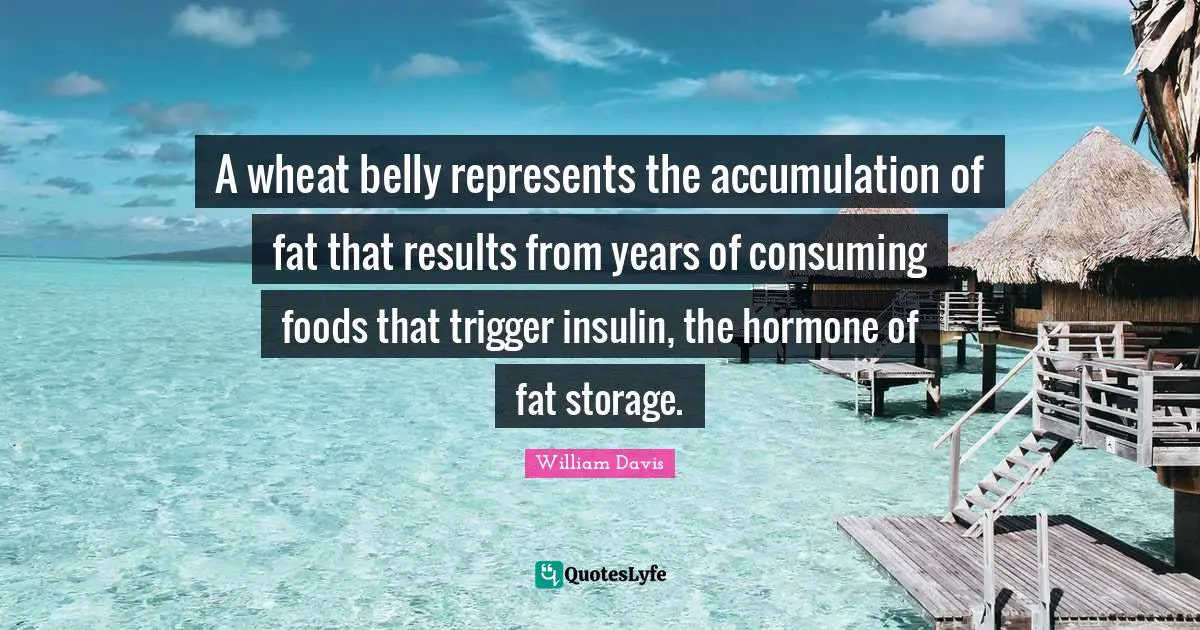 A wheat belly represents the accumulation of fat that results from years of consuming foods that trigger insulin, the hormone of fat storage.