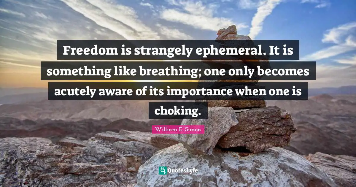 Freedom is strangely ephemeral. It is something like breathing; one only becomes acutely aware of its importance when one is choking.