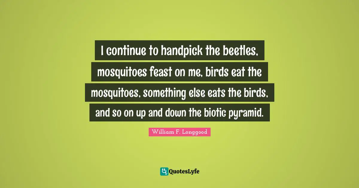 Mosquitoes Quotes: "I continue to handpick the beetles, mosquitoes feast on me, birds eat the mosquitoes, something else eats the birds, and so on up and down the biotic pyramid."