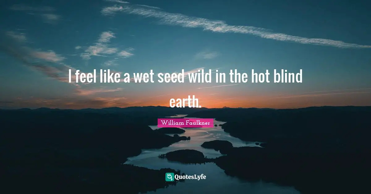 I feel like a wet seed wild in the hot blind earth.