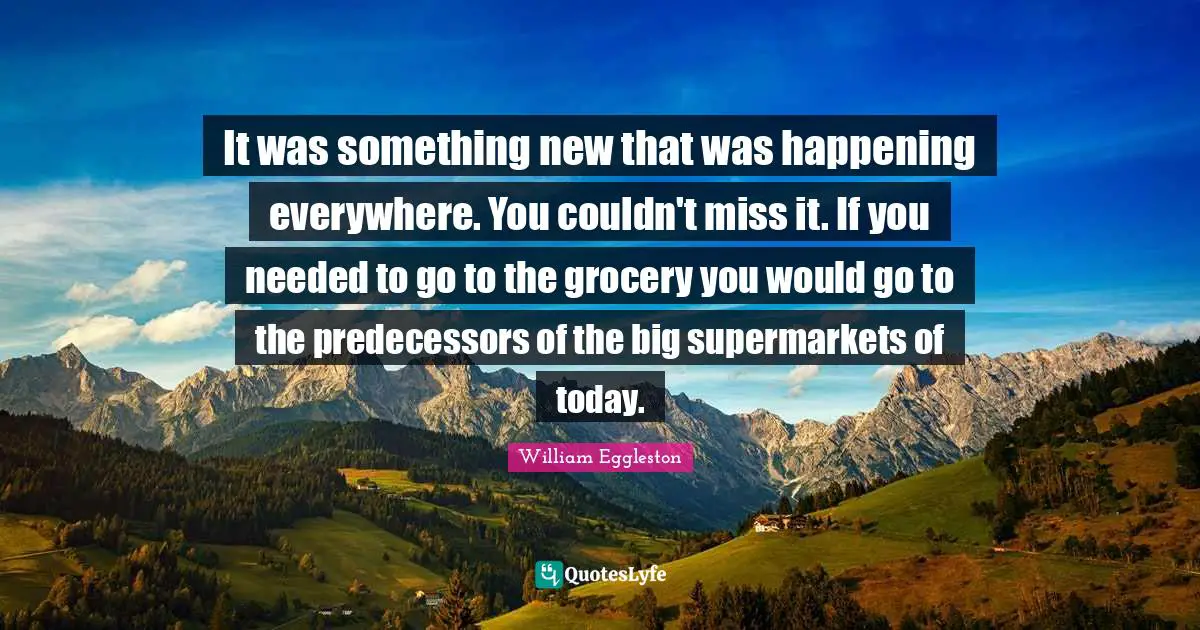 Predecessors Quotes: "It was something new that was happening everywhere. You couldn't miss it. If you needed to go to the grocery you would go to the predecessors of the big supermarkets of today."