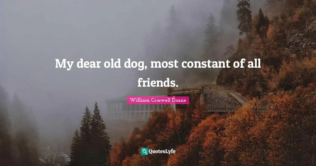 Dear Quotes: "My dear old dog, most constant of all friends."