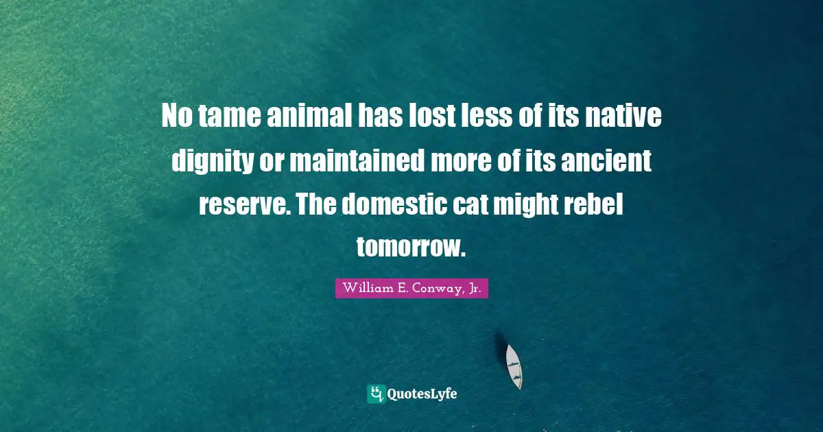 No tame animal has lost less of its native dignity or maintained more of its ancient reserve. The domestic cat might rebel tomorrow.