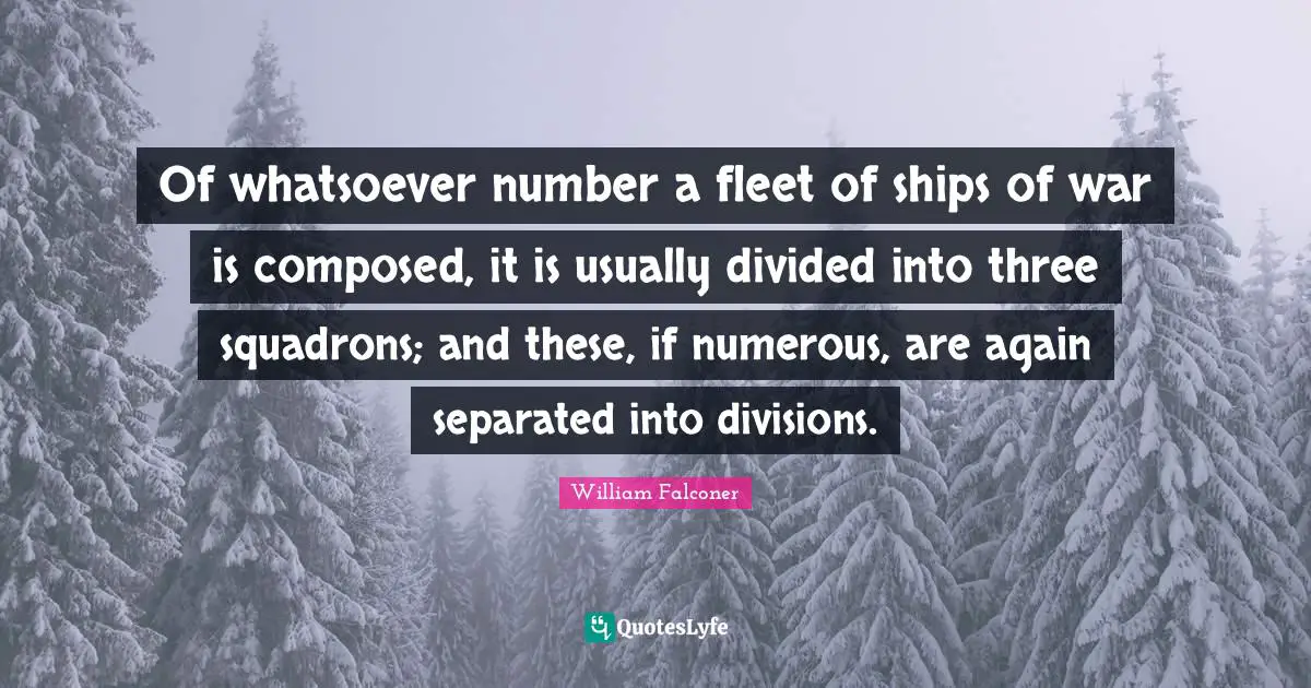 Of whatsoever number a fleet of ships of war is composed, it is usually divided into three squadrons; and these, if numerous, are again separated into divisions.