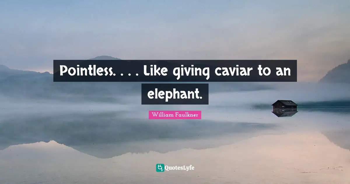 Pointless. . . . Like giving caviar to an elephant.