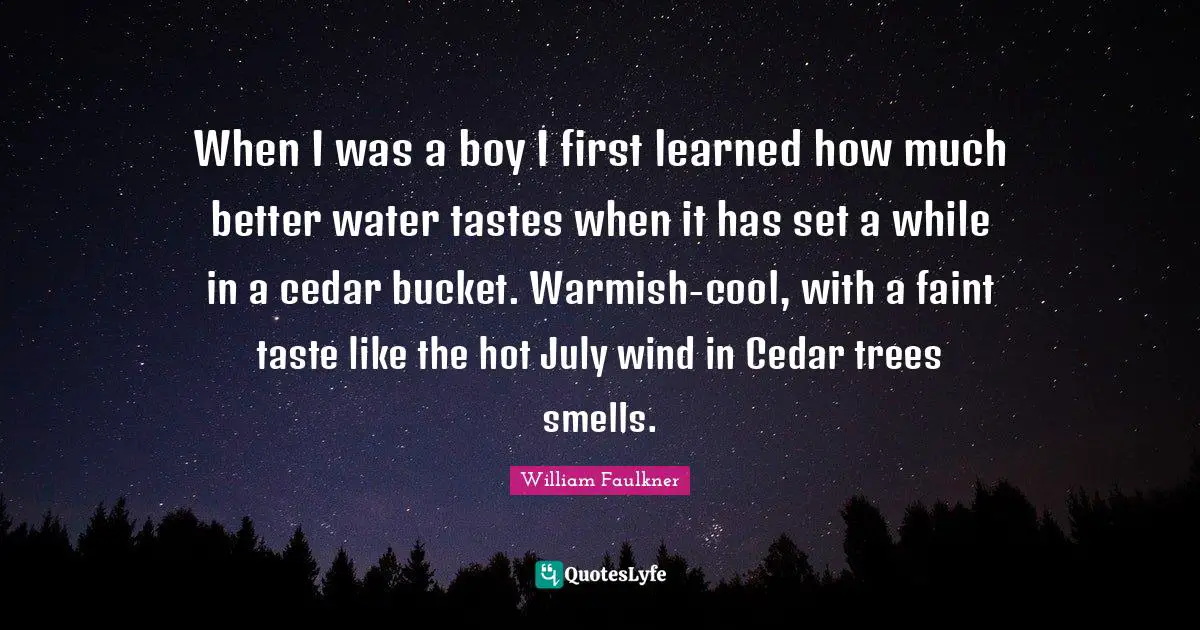 When I was a boy I first learned how much better water tastes when it has set a while in a cedar bucket. Warmish-cool, with a faint taste like the hot July wind in Cedar trees smells.