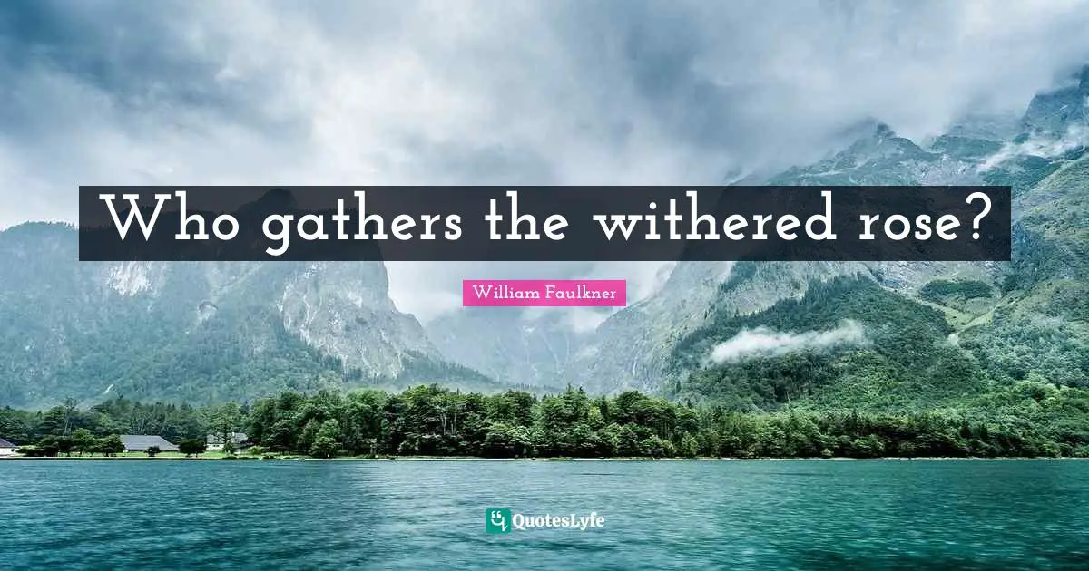 Who gathers the withered rose?