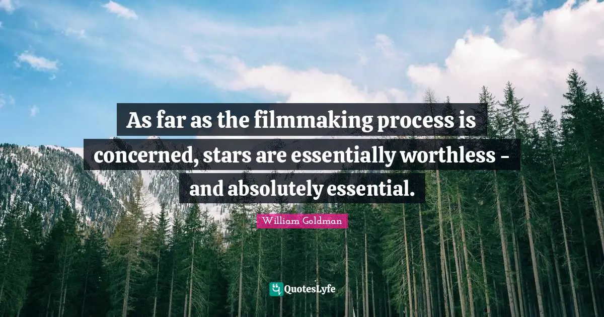 As far as the filmmaking process is concerned, stars are essentially worthless - and absolutely essential.