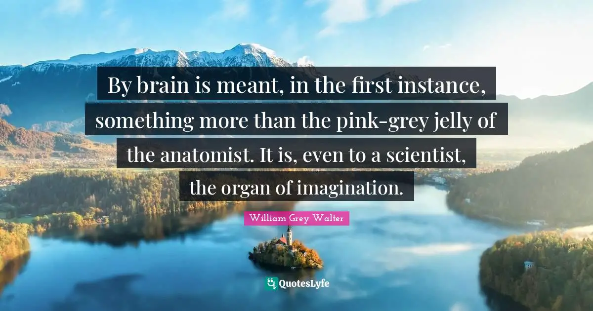 By brain is meant, in the first instance, something more than the pink-grey jelly of the anatomist. It is, even to a scientist, the organ of imagination.