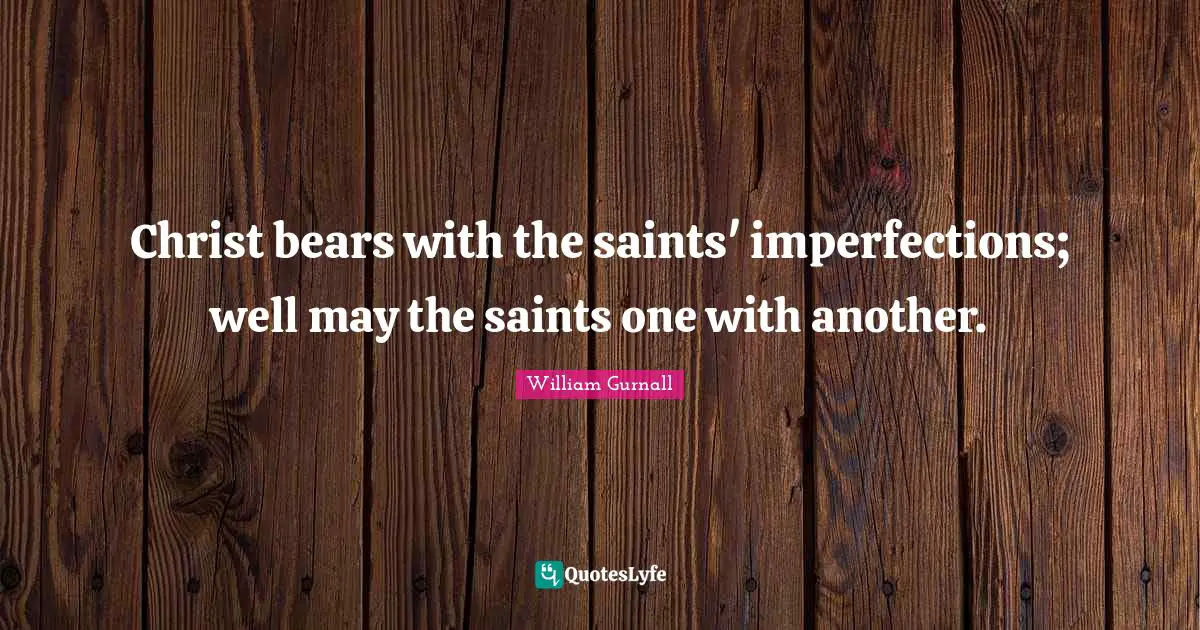 Christ bears with the saints' imperfections; well may the saints one with another.