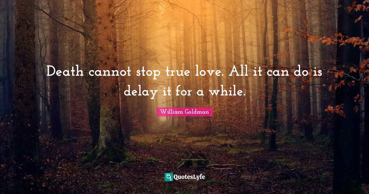 Death cannot stop true love. All it can do is delay it for a while.