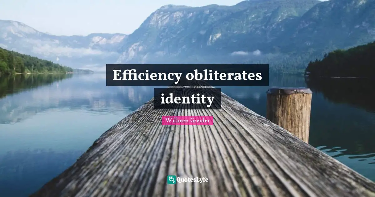 Efficiency obliterates identity