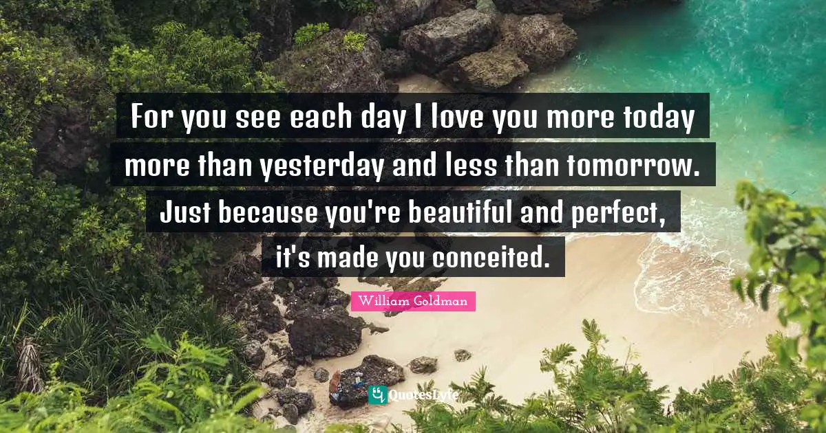 For you see each day I love you more today more than yesterday and less than tomorrow. Just because you're beautiful and perfect, it's made you conceited.
