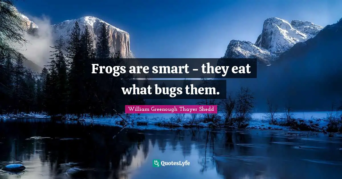 Frogs are smart - they eat what bugs them.