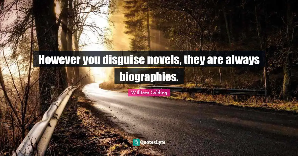 However you disguise novels, they are always biographies.