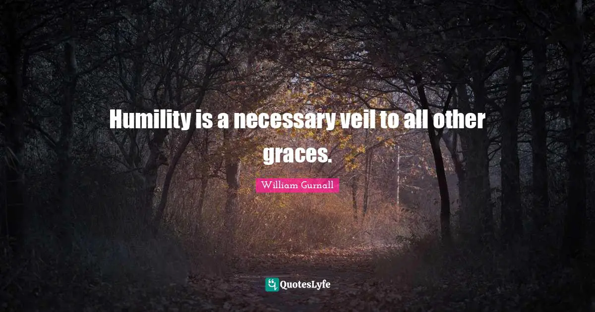 Humility is a necessary veil to all other graces.
