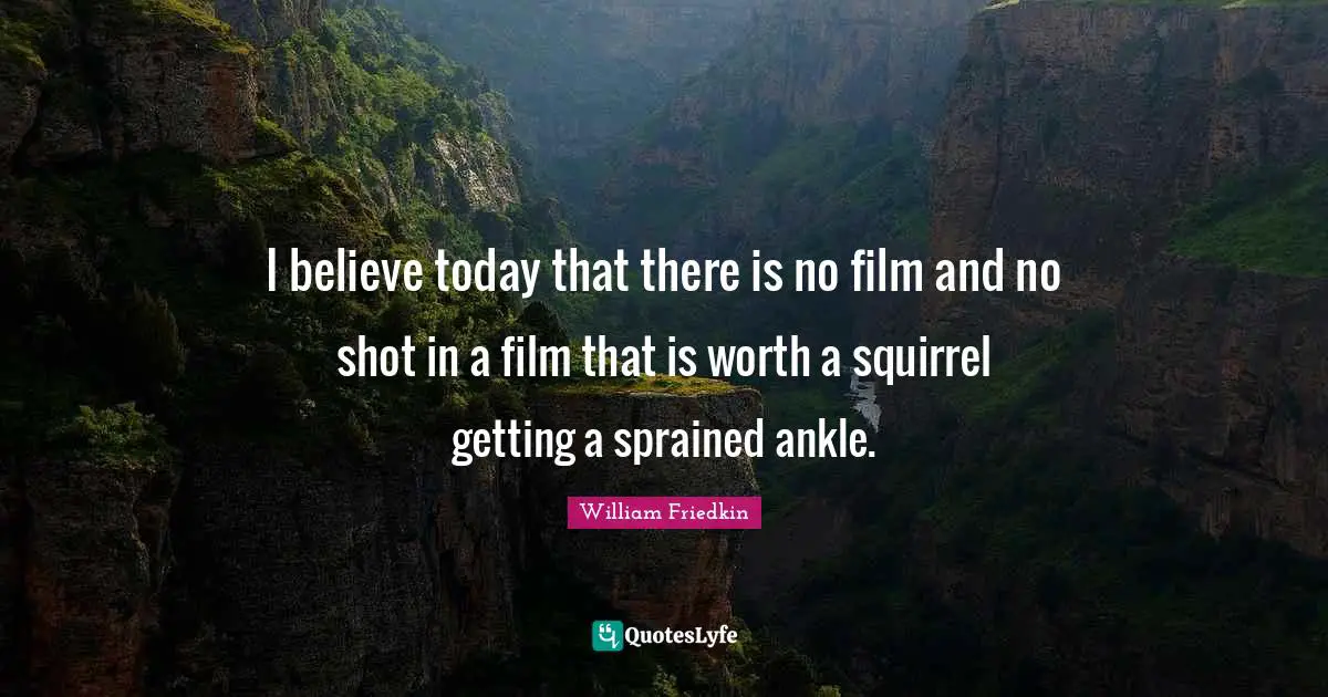 I believe today that there is no film and no shot in a film that is worth a squirrel getting a sprained ankle.