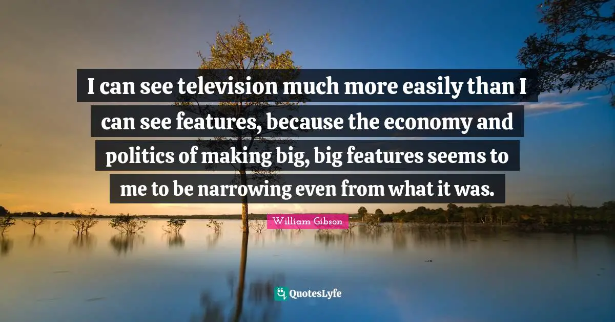 I can see television much more easily than I can see features, because the economy and politics of making big, big features seems to me to be narrowing even from what it was.