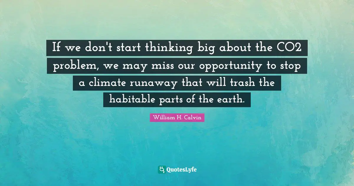 If we don't start thinking big about the CO2 problem, we may miss our opportunity to stop a climate runaway that will trash the habitable parts of the earth.