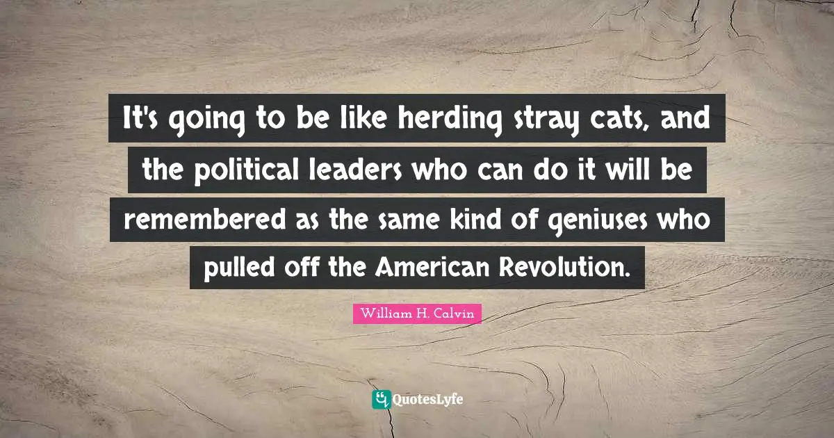 American Revolution Quotes: "It's going to be like herding stray cats, and the political leaders who can do it will be remembered as the same kind of geniuses who pulled off the American Revolution."