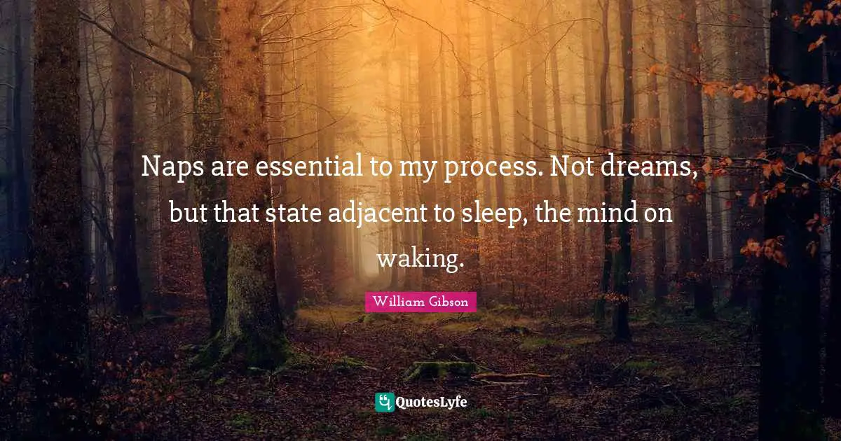 Naps are essential to my process. Not dreams, but that state adjacent to sleep, the mind on waking.