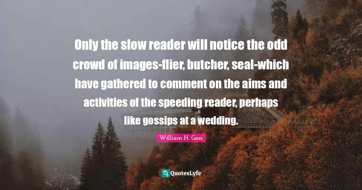 Only the slow reader will notice the odd crowd of images-flier, butcher, seal-which have gathered to comment on the aims and activities of the speeding reader, perhaps like gossips at a wedding.