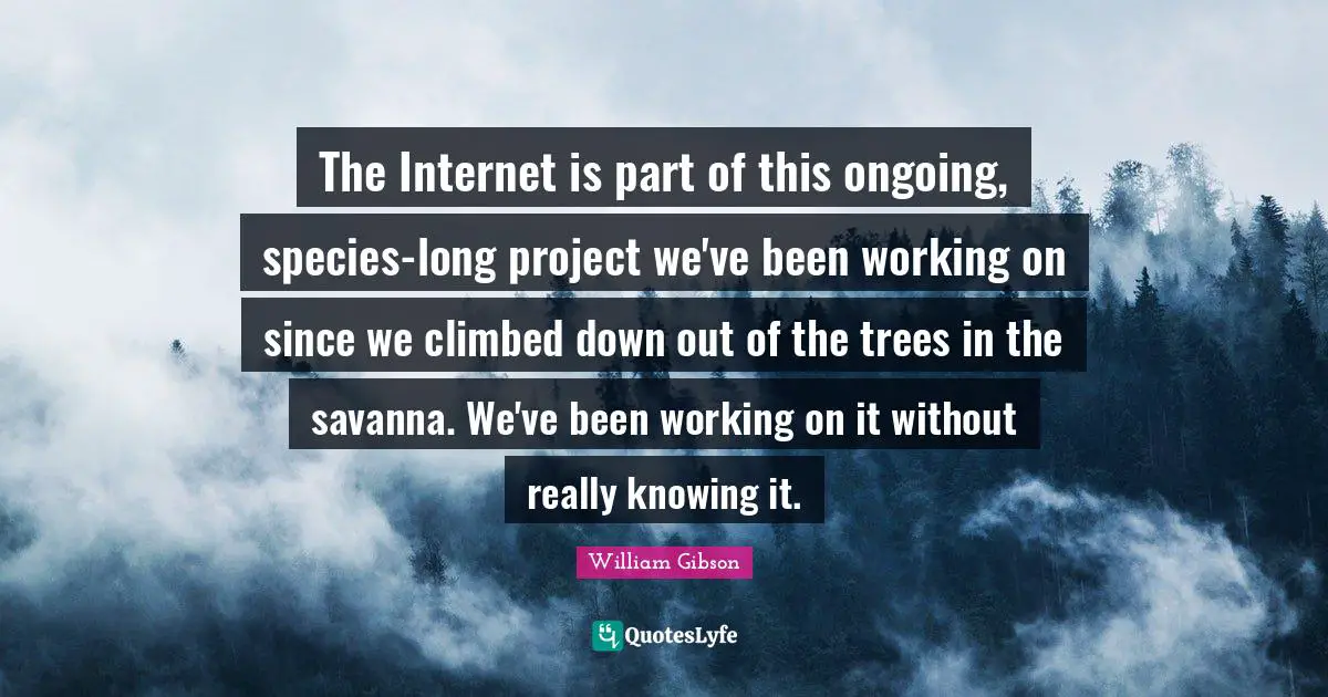 The Internet is part of this ongoing, species-long project we've been working on since we climbed down out of the trees in the savanna. We've been working on it without really knowing it.