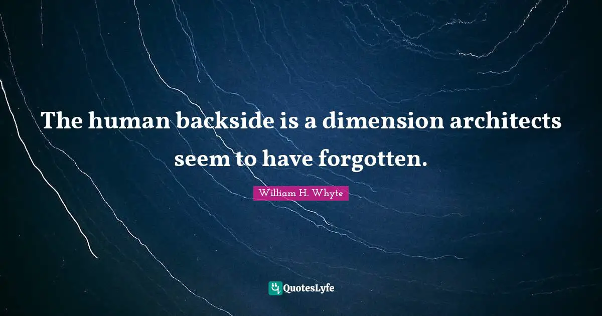 The human backside is a dimension architects seem to have forgotten.