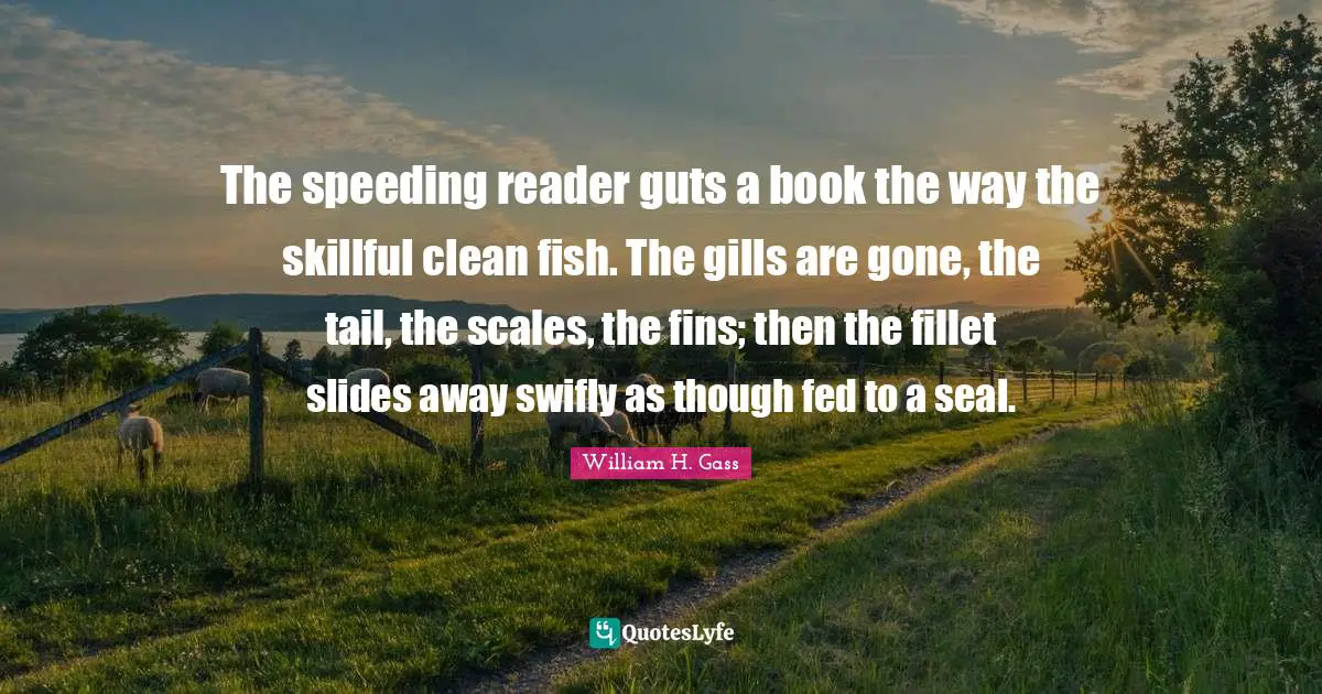 Reader Quotes: "The speeding reader guts a book the way the skillful clean fish. The gills are gone, the tail, the scales, the fins; then the fillet slides away swifly as though fed to a seal."