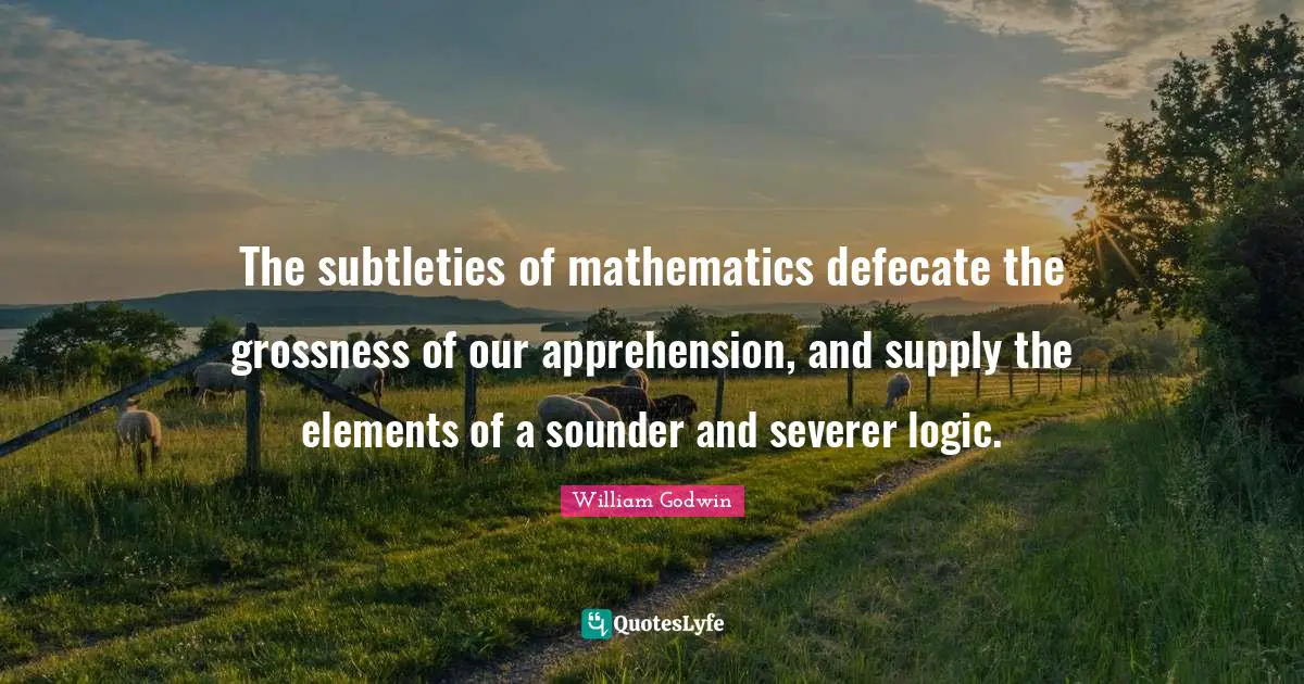 The subtleties of mathematics defecate the grossness of our apprehension, and supply the elements of a sounder and severer logic.